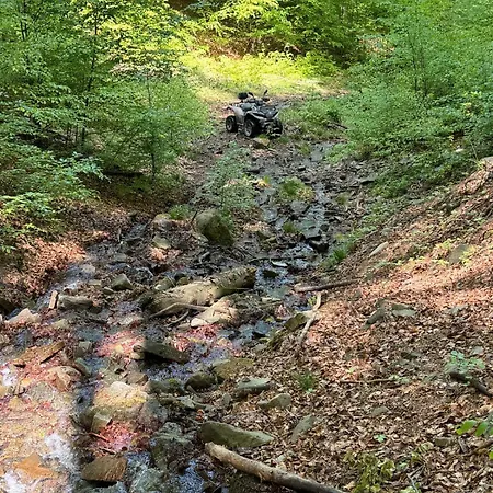 Ferienhaus Na Snowancu