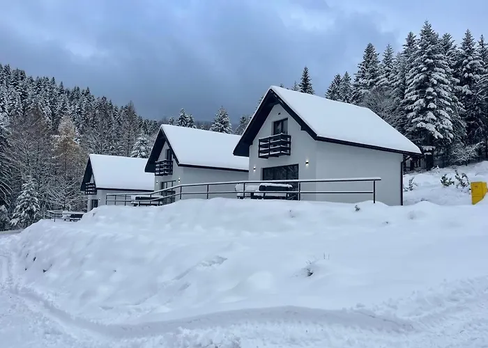 Na Snowancu برينا