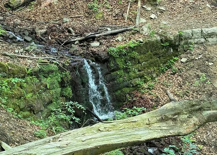 Na Snowancu بيت للعطل برينا